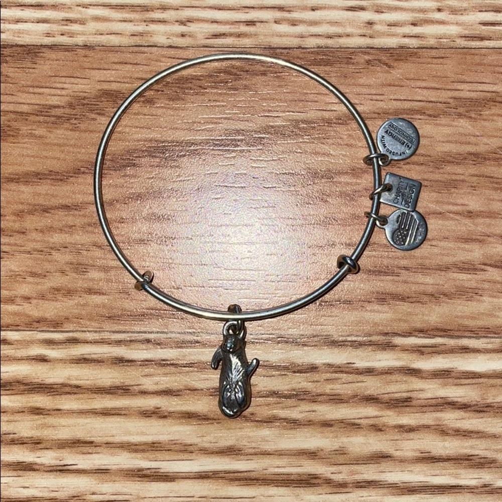 Alex and Ani otter bracelet